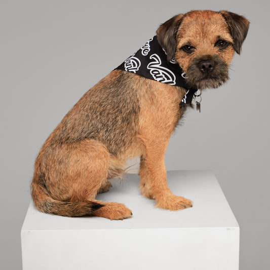 Vanlove Dog Bandanas